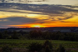 Sunset photograph at Coffin Ridge Winery